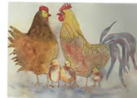 Chicken Family by Anne McMath